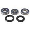 All Balls Racing 13-14 Gas-Gas EC125 Wheel Bearing Kit Rear thumbnail 12