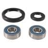 All Balls Racing 00-04 Kawasaki KL250 Super Sherpa Wheel Bearing Kit Front thumbnail 20