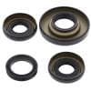 All Balls Racing 02-03 Honda TRX400FW Fourtrax Foreman 4x4 Differential Seal Only Kit Front thumbnail 19