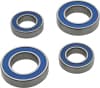 All Balls Racing 16-20 Ducati Scrambler Sixty2 Wheel Bearing Kit Rear