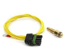 Edge EAS Temperature Sensor -  -40-300 Degrees Fahrenheit Compatible w/ Edge CS2/CTS2/CTS3 - 1/8 in. NPT