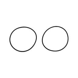 Wehrli LBZ/LMM/LML Duramax Y-Bridge Flange O-Ring (Pair)
