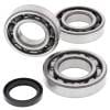 ABR Crank Bearing Kits thumbnail 2