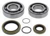 ABR Crank Bearing Kits thumbnail 3