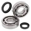 ABR Crank Bearing Kits thumbnail 4