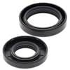 ABR Crankshaft Seal Kits thumbnail 4