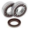 ABR Crank Bearing Kits thumbnail 5