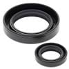 ABR Crankshaft Seal Kits thumbnail 6