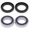 ABR Wheel Bearing Kits thumbnail 11