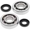 ABR Crank Bearing Kits thumbnail 14