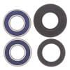 ABR Wheel Bearing Kits thumbnail 13