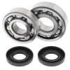 ABR Crank Bearing Kits thumbnail 15