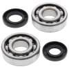 ABR Crank Bearing Kits thumbnail 15