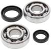 ABR Crank Bearing Kits thumbnail 15