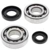 ABR Crank Bearing Kits thumbnail 15