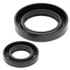 ABR Crankshaft Seal Kits thumbnail 16