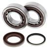 ABR Crank Bearing Kits thumbnail 17