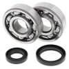 ABR Crank Bearing Kits thumbnail 8
