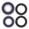 ABR Wheel Bearing Kits thumbnail 8