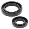 ABR Crankshaft Seal Kits thumbnail 21