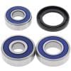 ABR Wheel Bearing Kits thumbnail 20