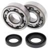 ABR Crank Bearing Kits thumbnail 19