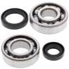 ABR Crank Bearing Kits thumbnail 20