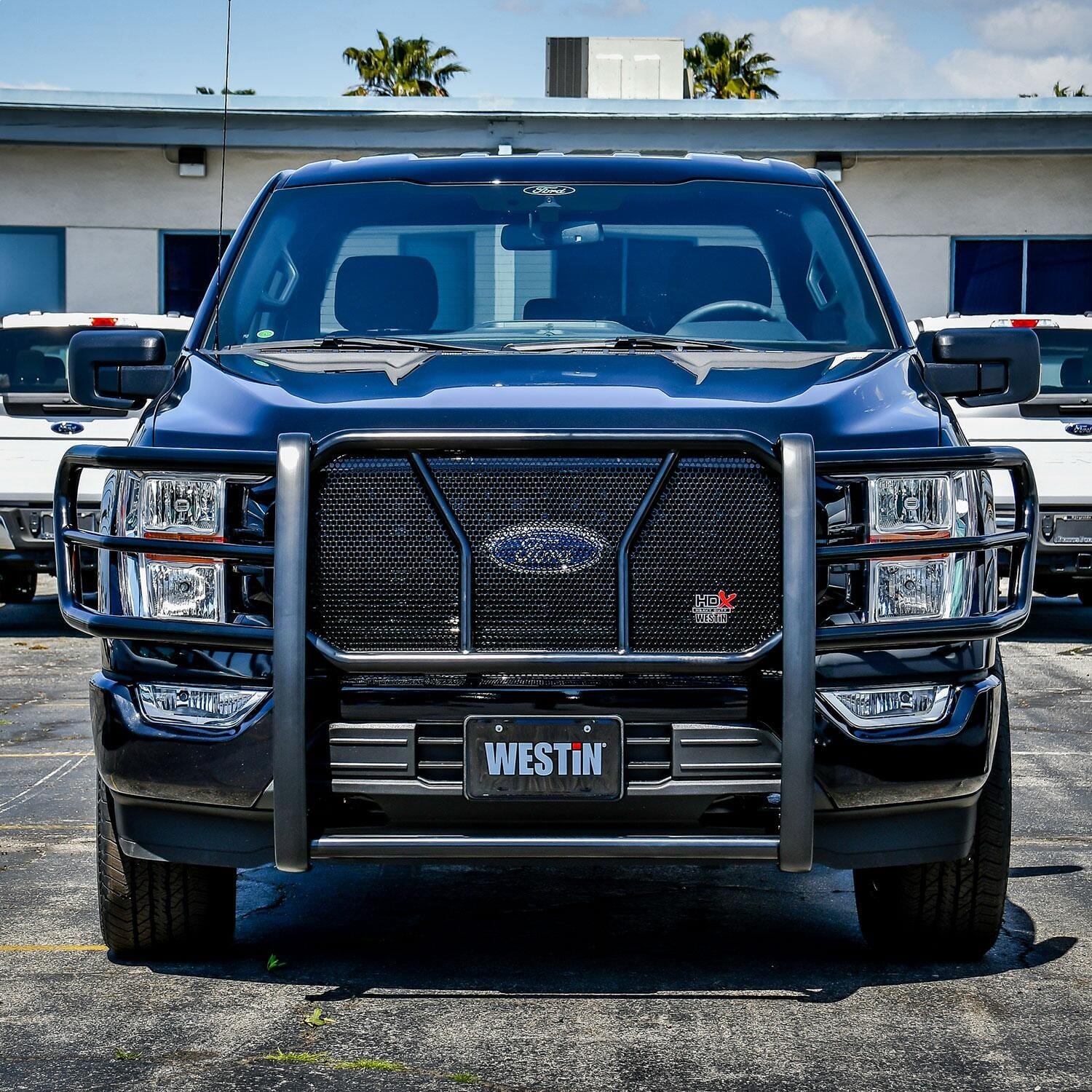 HDX Modular Grille Guard thumbnail 7