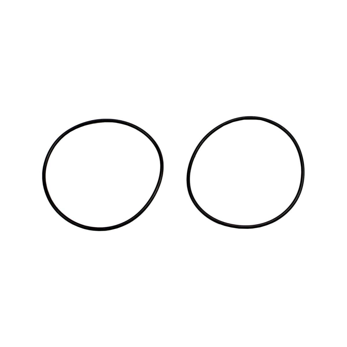 Wehrli LBZ/LMM/LML Duramax Y-Bridge Flange O-Ring (Pair)