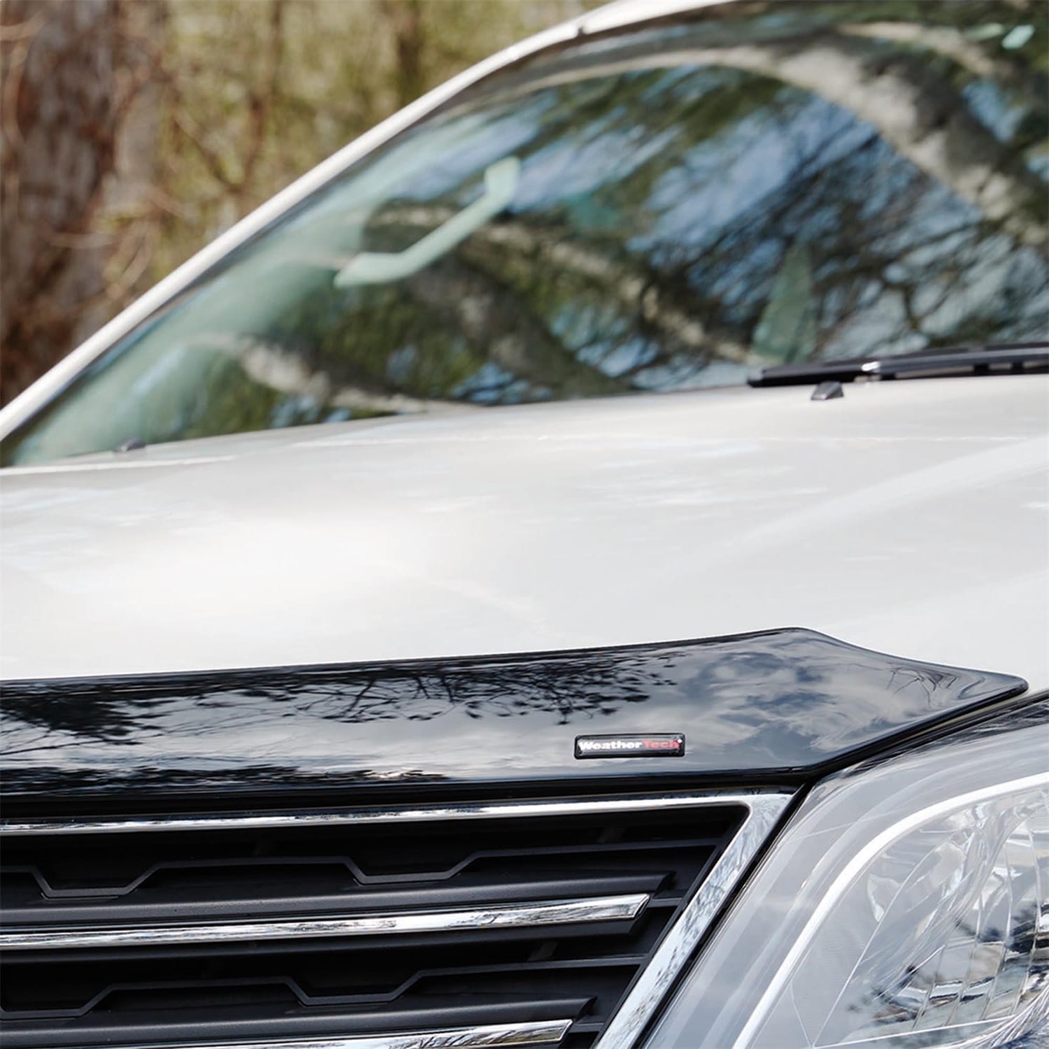 Low Profile Aerodynamic Hood Protector