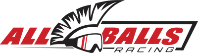 All Balls Racing